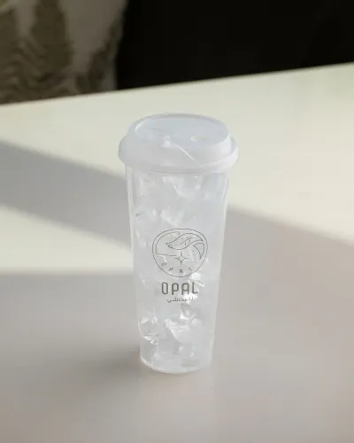 Ice cup